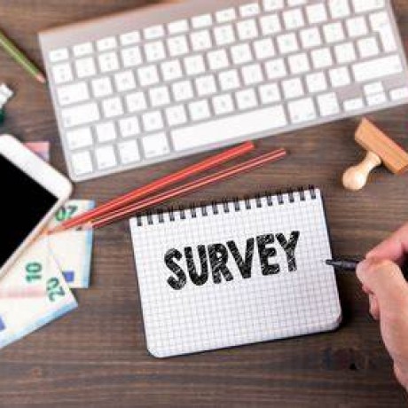 Online Survey
