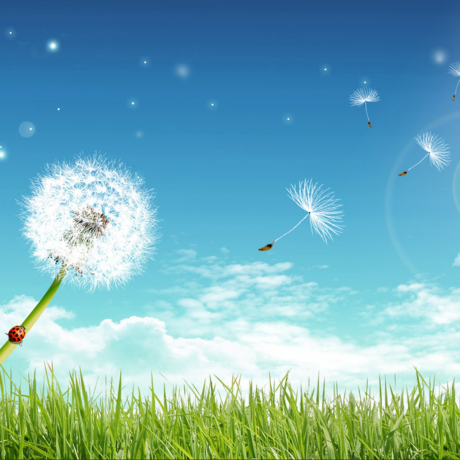 High-ROI Solutions: Where’s the Payoff?