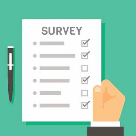 Online Survey
