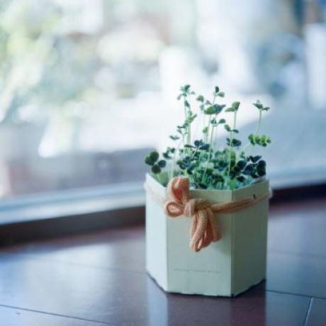 Patients’ Side Hustles: Health and Profit