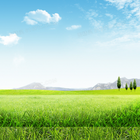 Is Your Practice a Cash Cow?