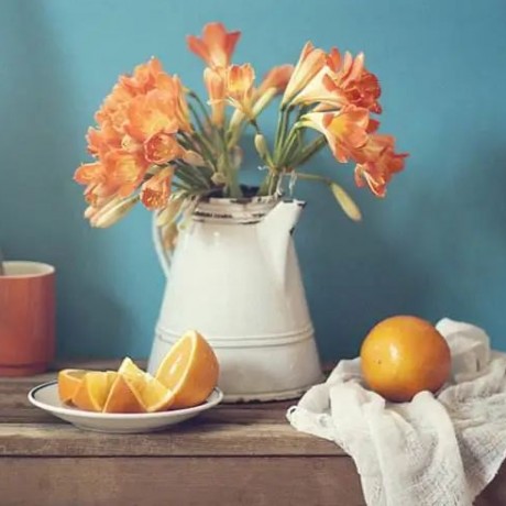 Money-Saving Meals: Rate Your Favorites