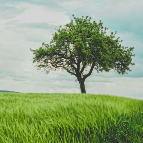What Makes a Practice Profitable?