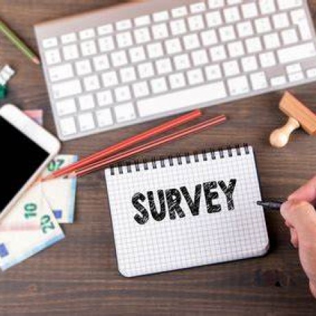 Online Survey
