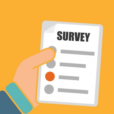 Consumer Survey
