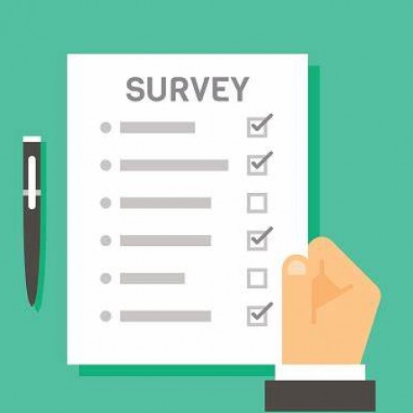 Online Survey
